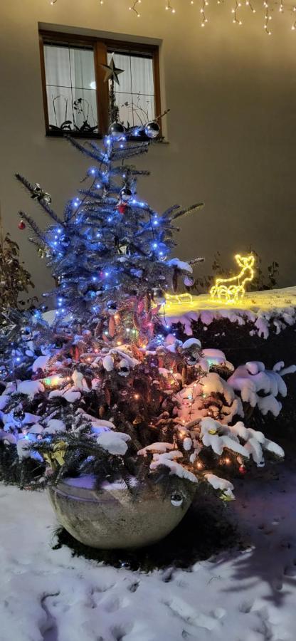 Privat Nika Hotel Zavazna Poruba Luaran gambar