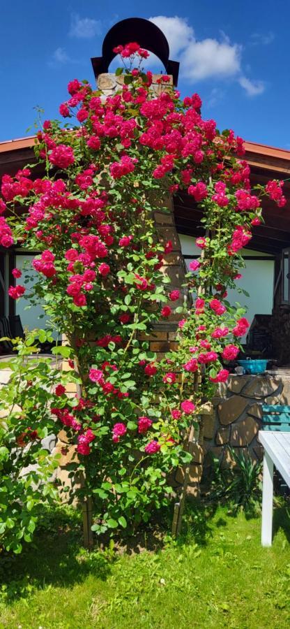 Privat Nika Hotel Zavazna Poruba Luaran gambar